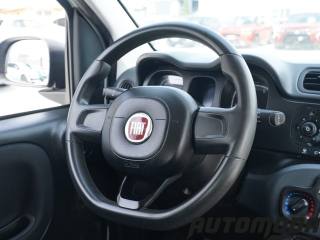 FIAT Panda usata 14