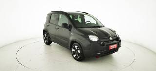 FIAT Panda Cross usata 35