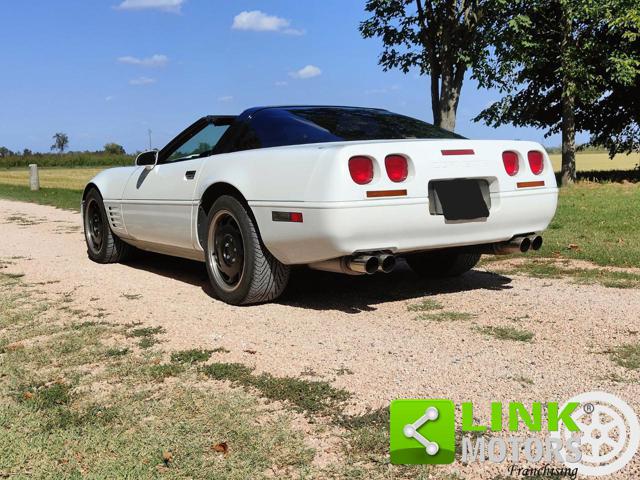 CHEVROLET Corvette usata 20