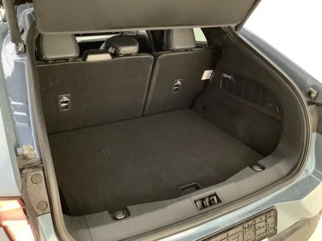 FORD Mustang Mach-E usata, con Alzacristalli elettrici