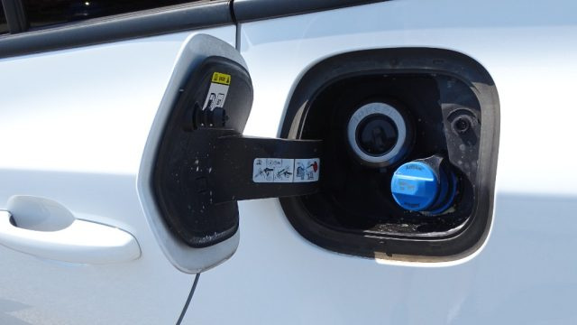 FORD Focus usata, con Limitatore di velocità