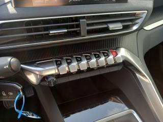 PEUGEOT 3008 usata, con Climatizzatore