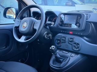 FIAT Panda usata 22