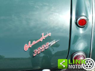 AUSTIN Healey usata 21