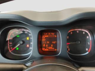 FIAT Panda usata 10
