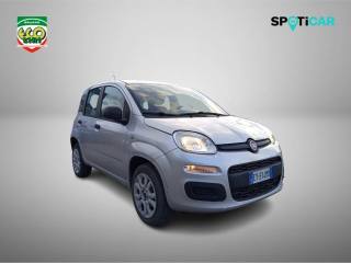FIAT Panda usata, con Airbag Passeggero