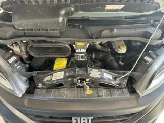 FIAT Ducato usata, con ESP