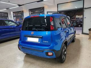FIAT Panda Cross usata, con Antifurto