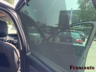 RENAULT Scenic usata, con Cruise Control