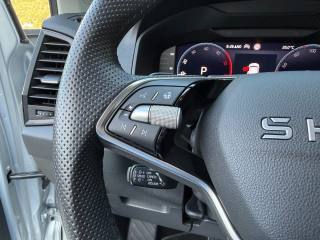 SKODA Karoq usata, con Cronologia tagliandi