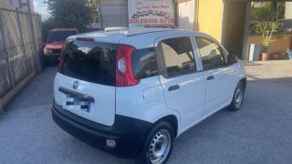 FIAT Panda usata, con Alzacristalli elettrici