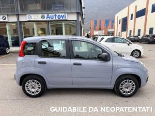 FIAT Panda usata, con Alzacristalli elettrici