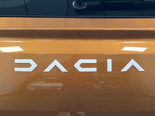 DACIA Sandero usata 20