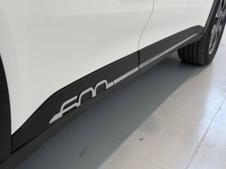 FIAT 600 usata, con Bracciolo