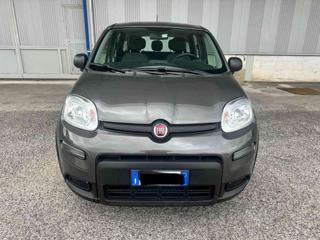 FIAT Panda usata, con Airbag