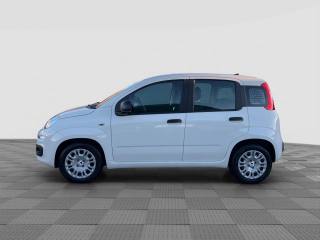 FIAT Panda usata 1