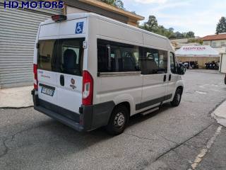 FIAT Ducato usata, con Chiusura centralizzata