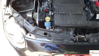 FIAT 500 usata 66