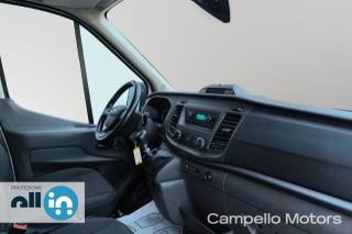 FORD Transit usata 14