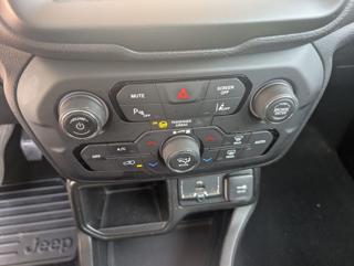 JEEP Renegade usata, con Cruise Control