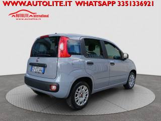 FIAT Panda usata, con Alzacristalli elettrici