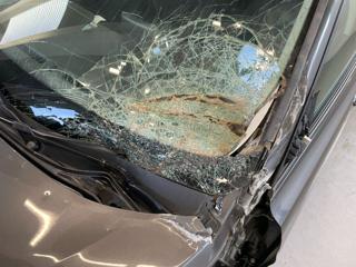 FORD Focus usata, con USB