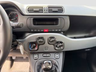FIAT Panda usata 15