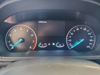 FORD EcoSport usata, con Cruise Control