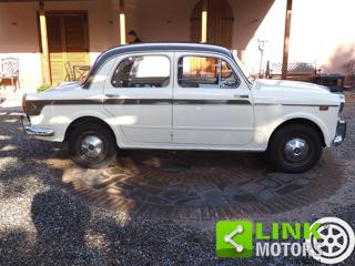 FIAT 1100 usata 3