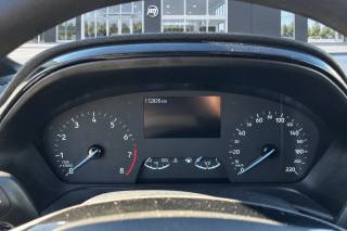 FORD Fiesta usata, con Fendinebbia