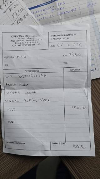 VOLKSWAGEN Polo usata 21