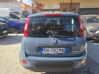 FIAT Panda usata, con Climatizzatore