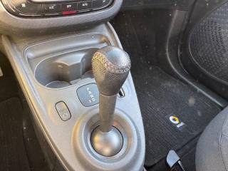 SMART ForFour usata, con Cronologia tagliandi
