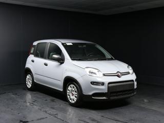 FIAT Panda usata, con Airbag Passeggero