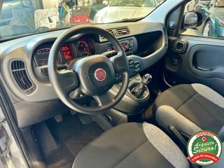 FIAT Panda usata, con Chiusura centralizzata