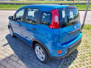 FIAT Panda usata, con Alzacristalli elettrici