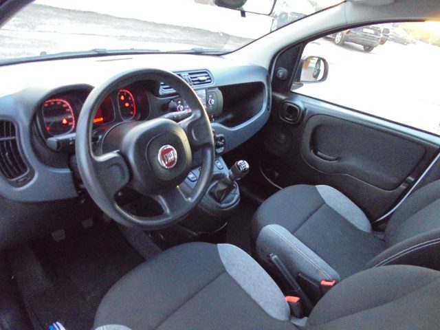 FIAT Panda usata 17