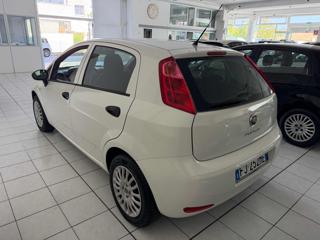 FIAT Punto usata, con Airbag