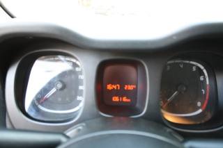 FIAT Panda usata, con Immobilizzatore elettronico
