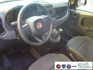 FIAT Panda usata, con Specchietti laterali elettrici