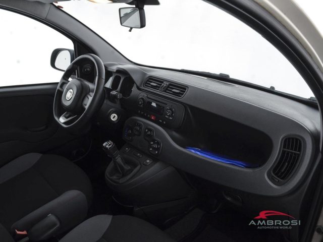 FIAT Panda usata 11