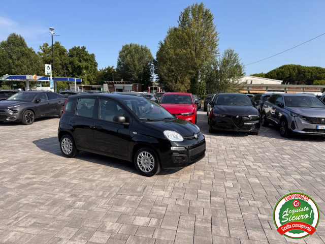 FIAT Panda usata, con Antifurto