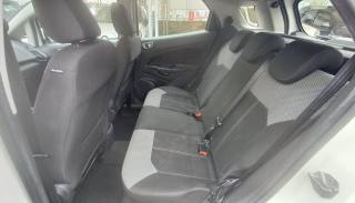 FORD EcoSport usata, con Fendinebbia