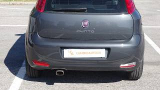 FIAT Punto usata 34