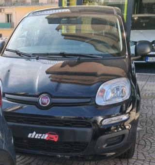 FIAT Panda usata, con Climatizzatore
