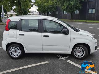 FIAT Panda usata, con Alzacristalli elettrici