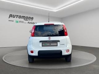 FIAT Panda usata, con Cerchi in lega