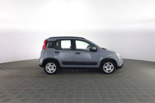 FIAT Panda usata 2