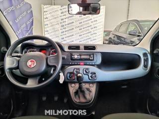 FIAT Panda usata 15