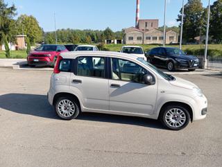 FIAT Panda usata, con Alzacristalli elettrici